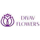 Logo Divav pff-03
